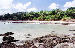 Playa Langosta